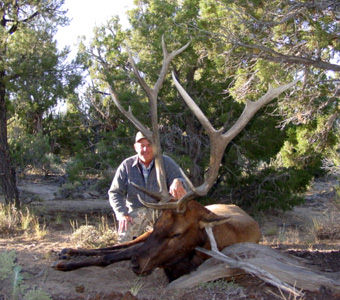 Trophy Bull Elk Hunts with SilverGrand Outfitters