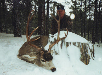 Mule Deer Hunting in Nevada and Arizona
