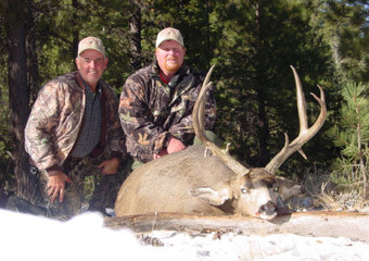 Mule Deer Hunting in Nevada and Arizona