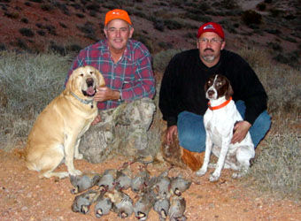 Nevada Quail Hunts