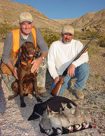 Nevada Quail Hunts