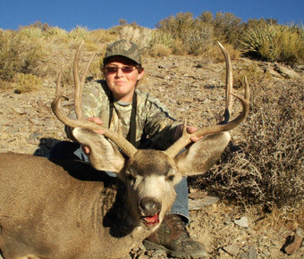 Nevada Quail Hunts