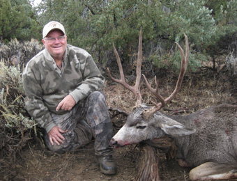 Nevada Quail Hunts