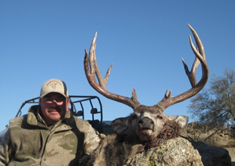 Nevada Quail Hunts