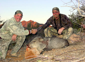 Javelina Hunts in Arizona