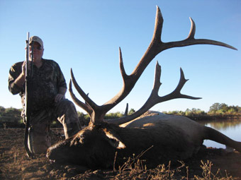 Trophy Bull Elk Hunts with SilverGrand Outfitters