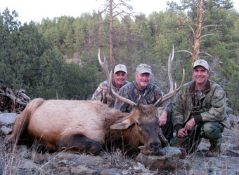 Trophy Bull Elk Hunts with SilverGrand Outfitters