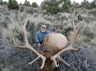 Trophy Bull Elk Hunts with SilverGrand Outfitters