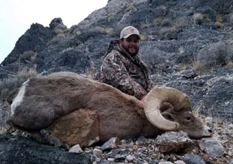 Trophy Bull Elk Hunts with SilverGrand Outfitters