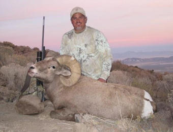 Desert and California Bighorn Sheep Hunting