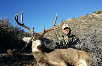 Nevada Mule Deer Hunts