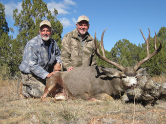 Nevada Quail Hunts