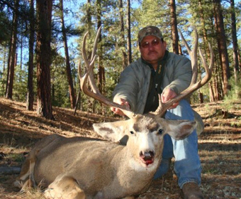 Nevada Quail Hunts