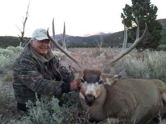 Nevada Quail Hunts