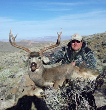 Nevada Quail Hunts