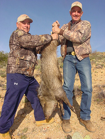 Javelina Hunts in Arizona