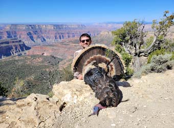 Turkey Hunting in Nevada and Arizona