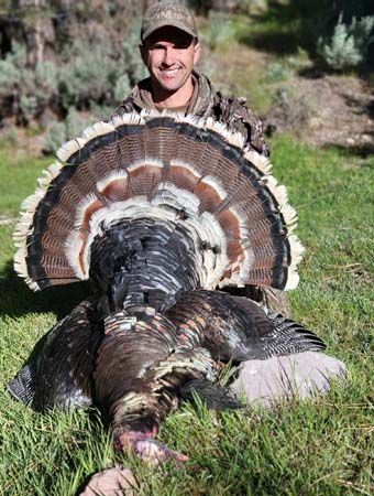 Nevada Turkey Hunting