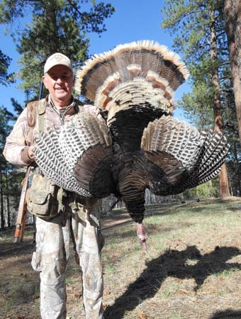 Turkey Hunting in Nevada and Arizona