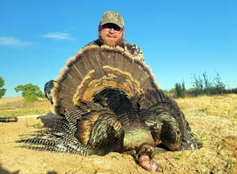 Nevada Turkey Hunting