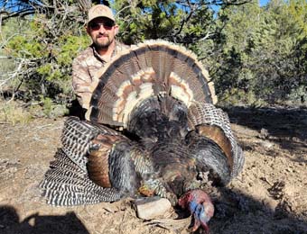 Nevada Turkey Hunting